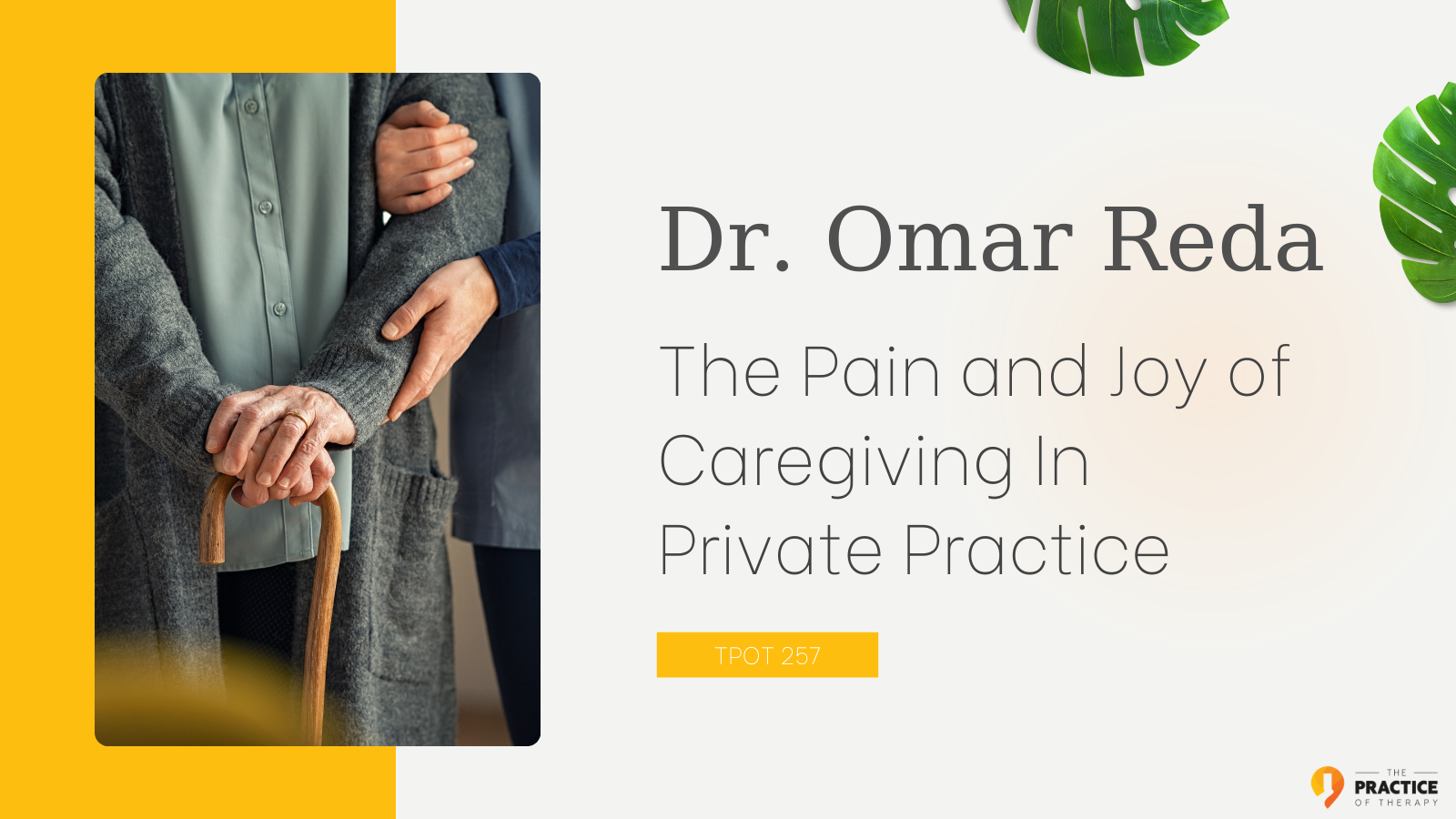 Dr. Omar Reda The Pain and Joy of Caregiving In Private Practice TPOT 256