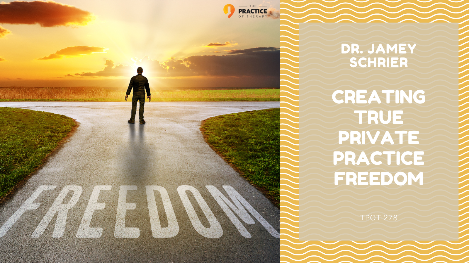 Dr. Jamey Schrier Creating True Private Practice Freedom TPOT 278