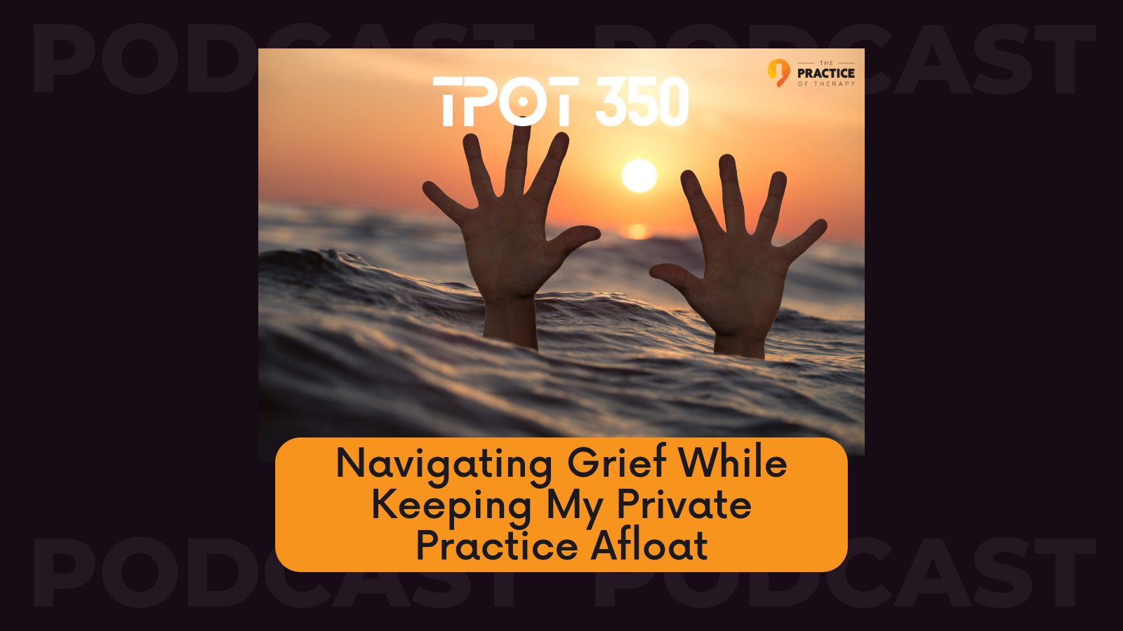 Navigating Grief While Keeping My Private Practice Afloat TPOT 350